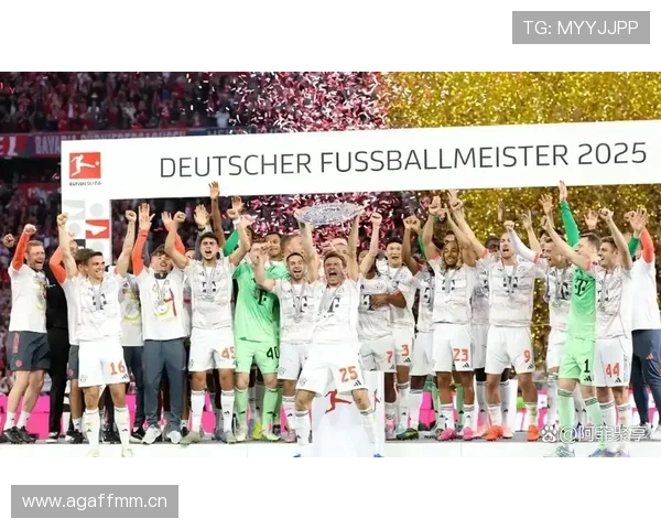 德甲球队阵容调整动向：多队夏窗补强中后场配置