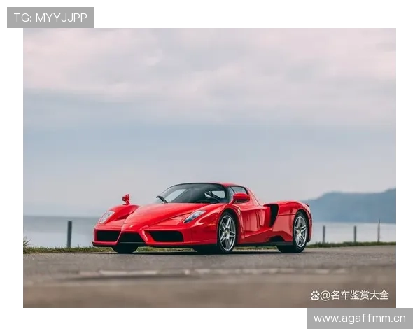 恩佐高价转会是否被捧杀? 恩佐高价转会是否被捧杀?