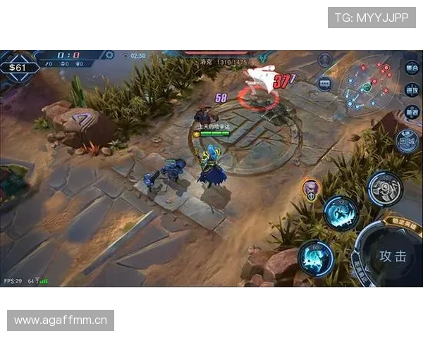 巴尔科拉战术角色解析：体系依赖与个人能力差异