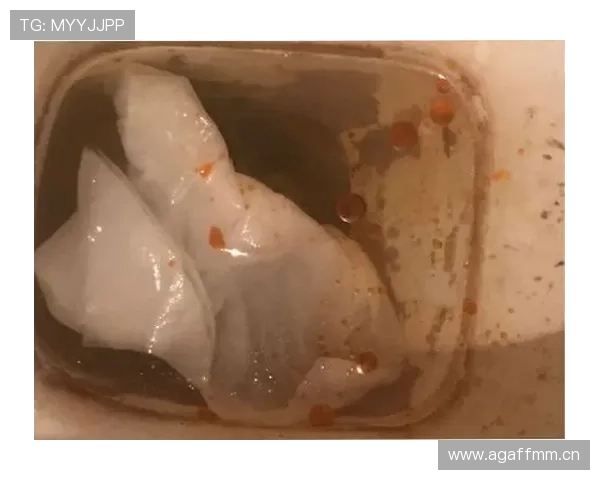 哈兰德冰箱里竟然放满了进口椒盐脆片？这日子离咱们太远了吧！